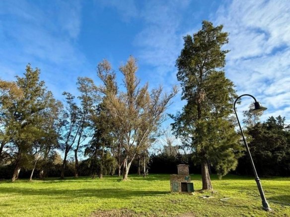 LOTE en VENTA en Barrio Privado Saint Thomas Este – Canning