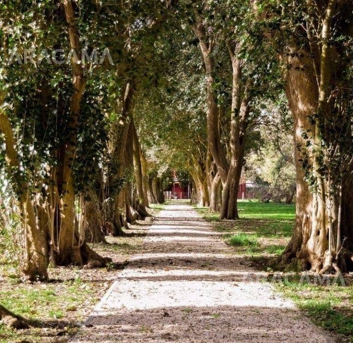 Lote en venta Barrio El Mirador Club de Campo – Ruta 2