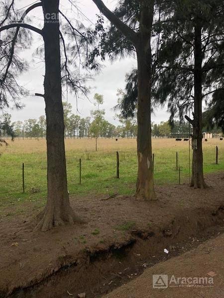 Campo en Venta – San Vicente