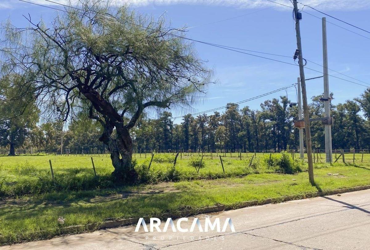 Lotes en Venta en Monte Grande – Esteban Echeverria