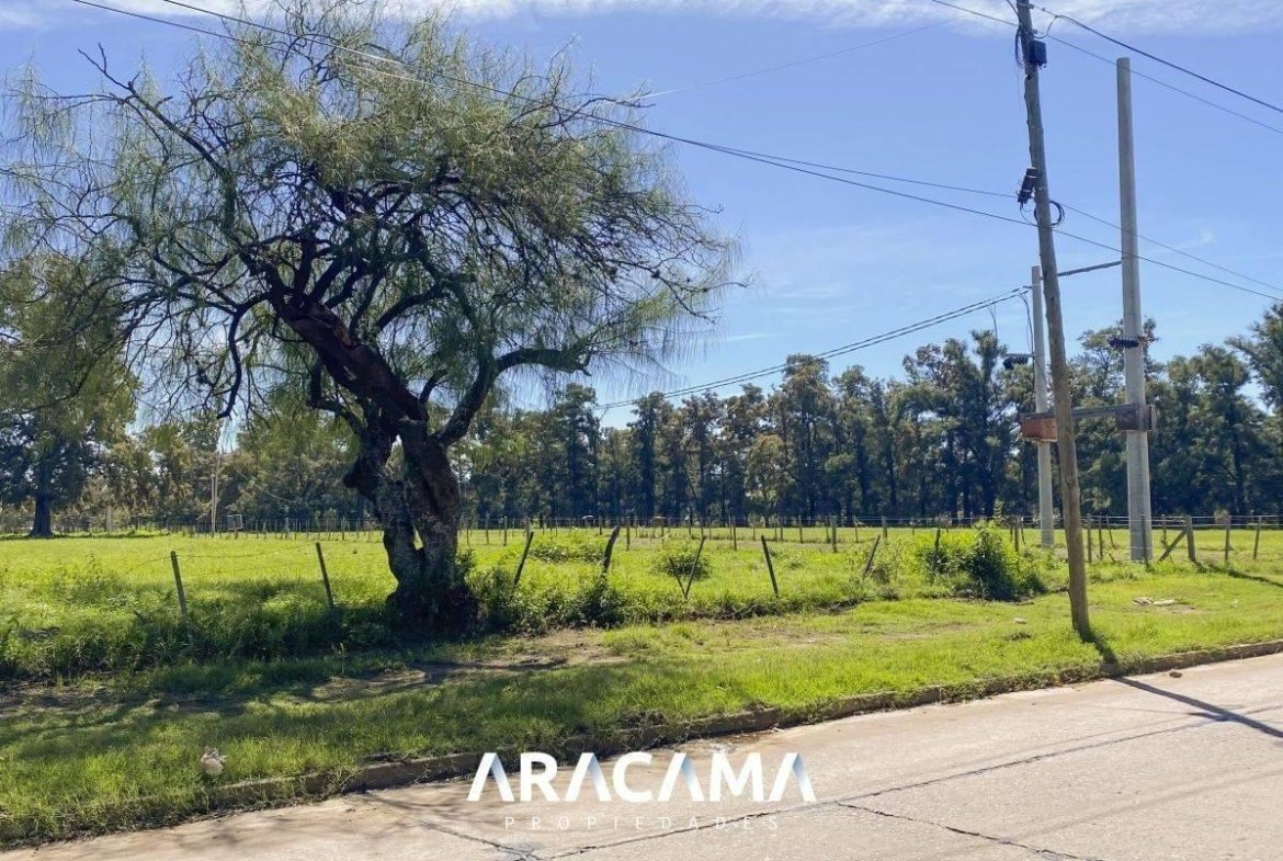 Lotes en Venta en Monte Grande – Esteban Echeverria