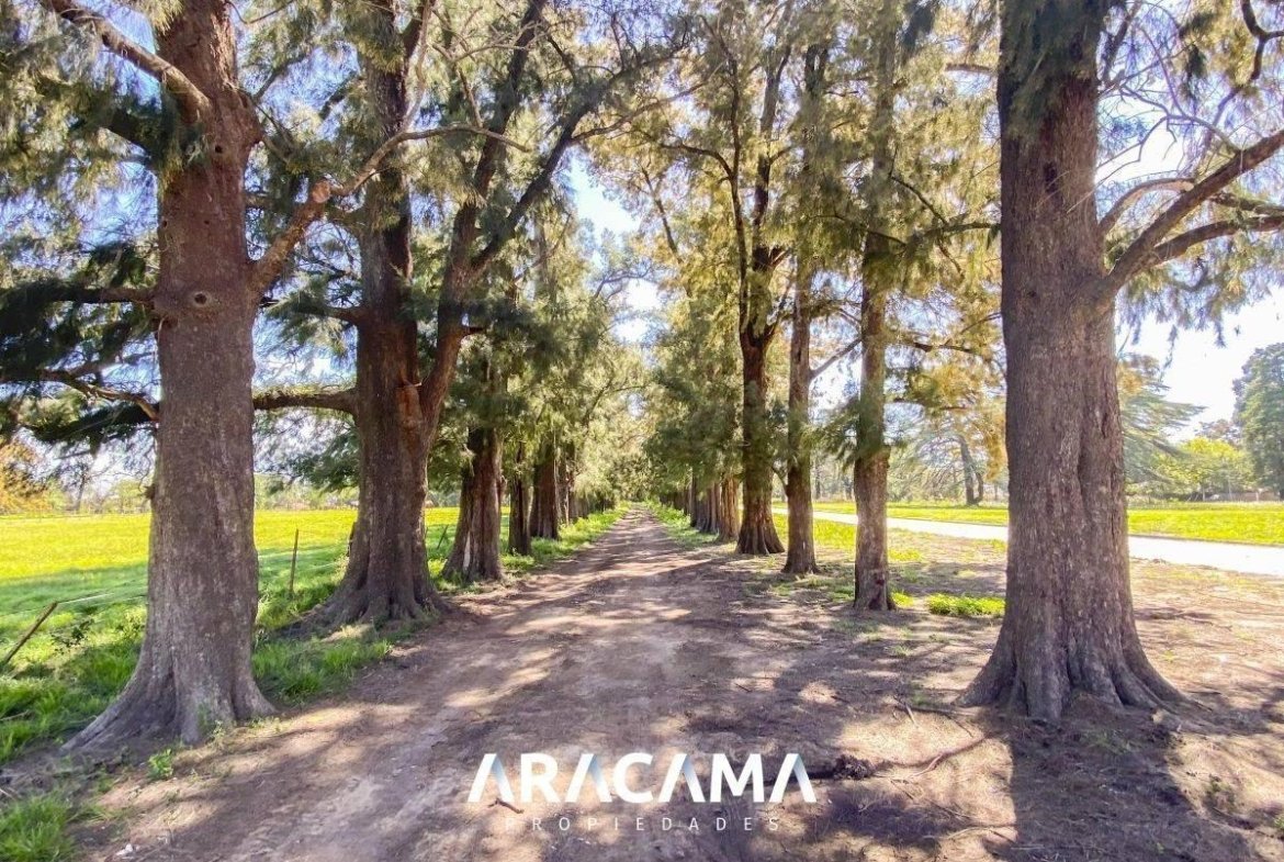 Lotes en Venta en Monte Grande – Esteban Echeverria