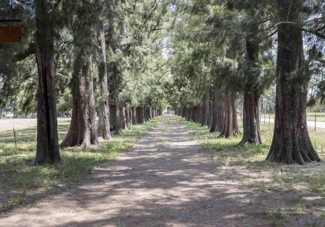Lotes en Venta en Monte Grande – Esteban Echeverria