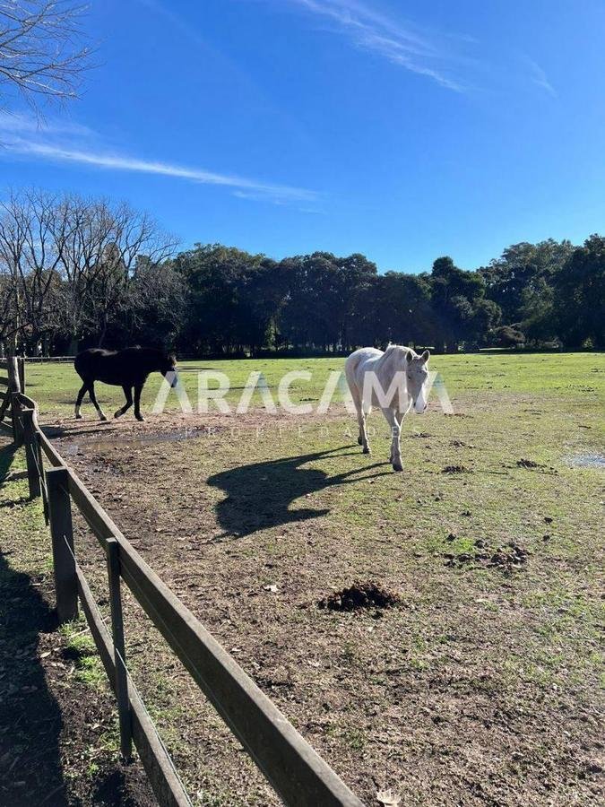 Lote en Venta en Estancia Benquerencia
