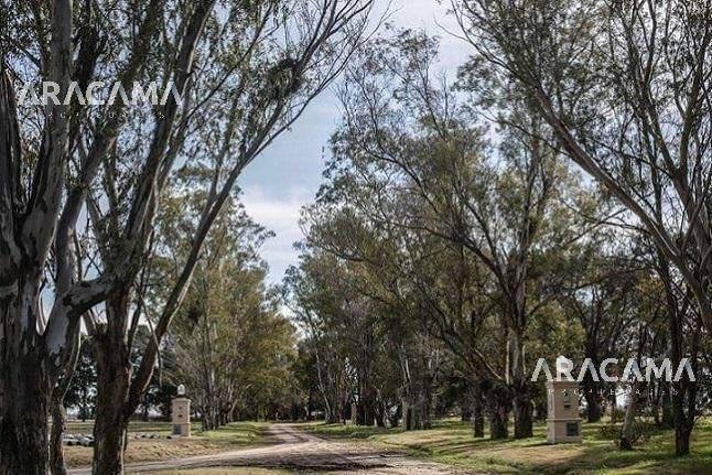 Lote en VENTA en Lagos de San Eliseo – San Vicente