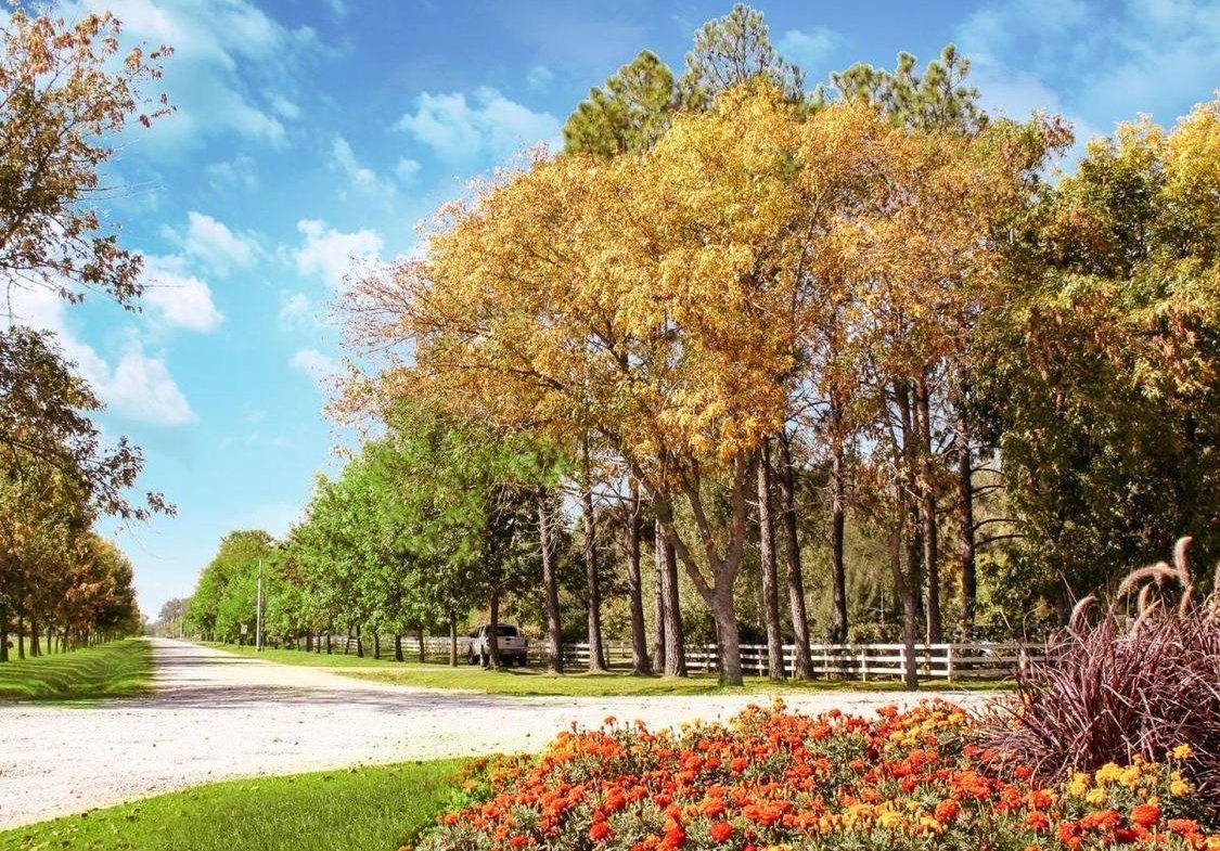 Terreno en VENTA en Fincas de San Vicente – San Vicente