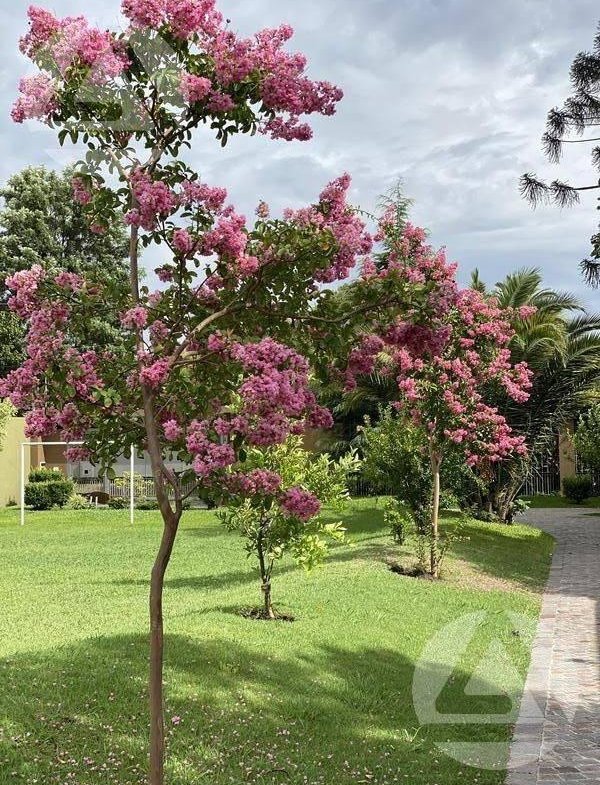 Casa en Venta – Monte Grande