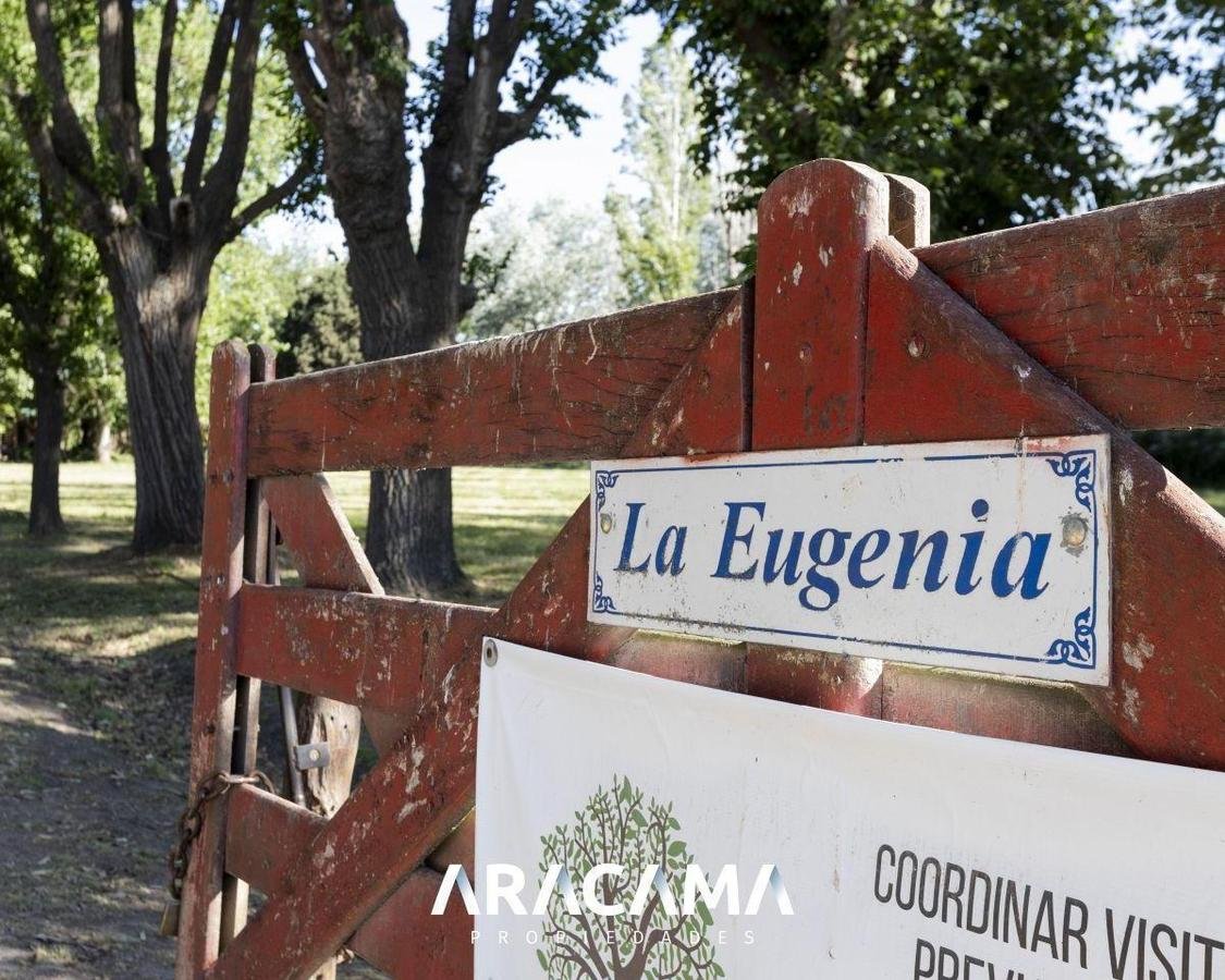 Lotes en Venta en La Eugenia – Maximo Paz