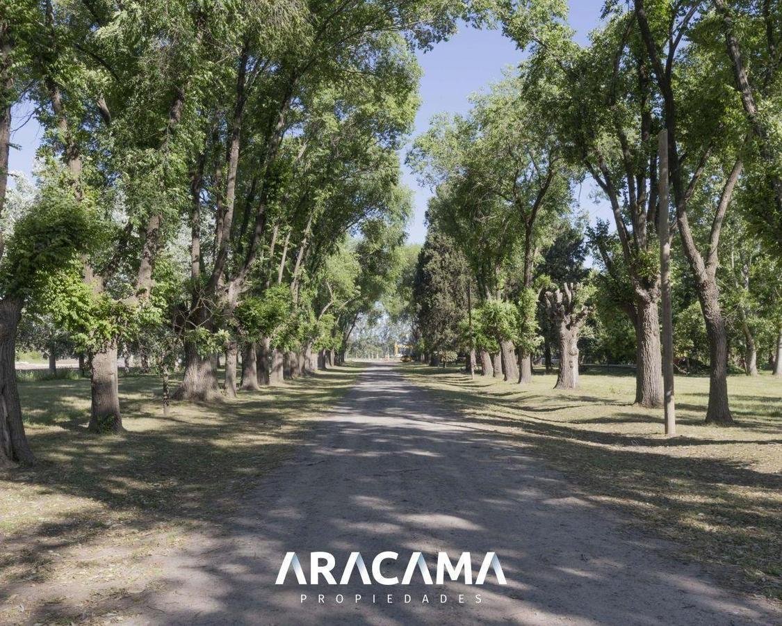 Lotes en Venta en La Eugenia – Maximo Paz