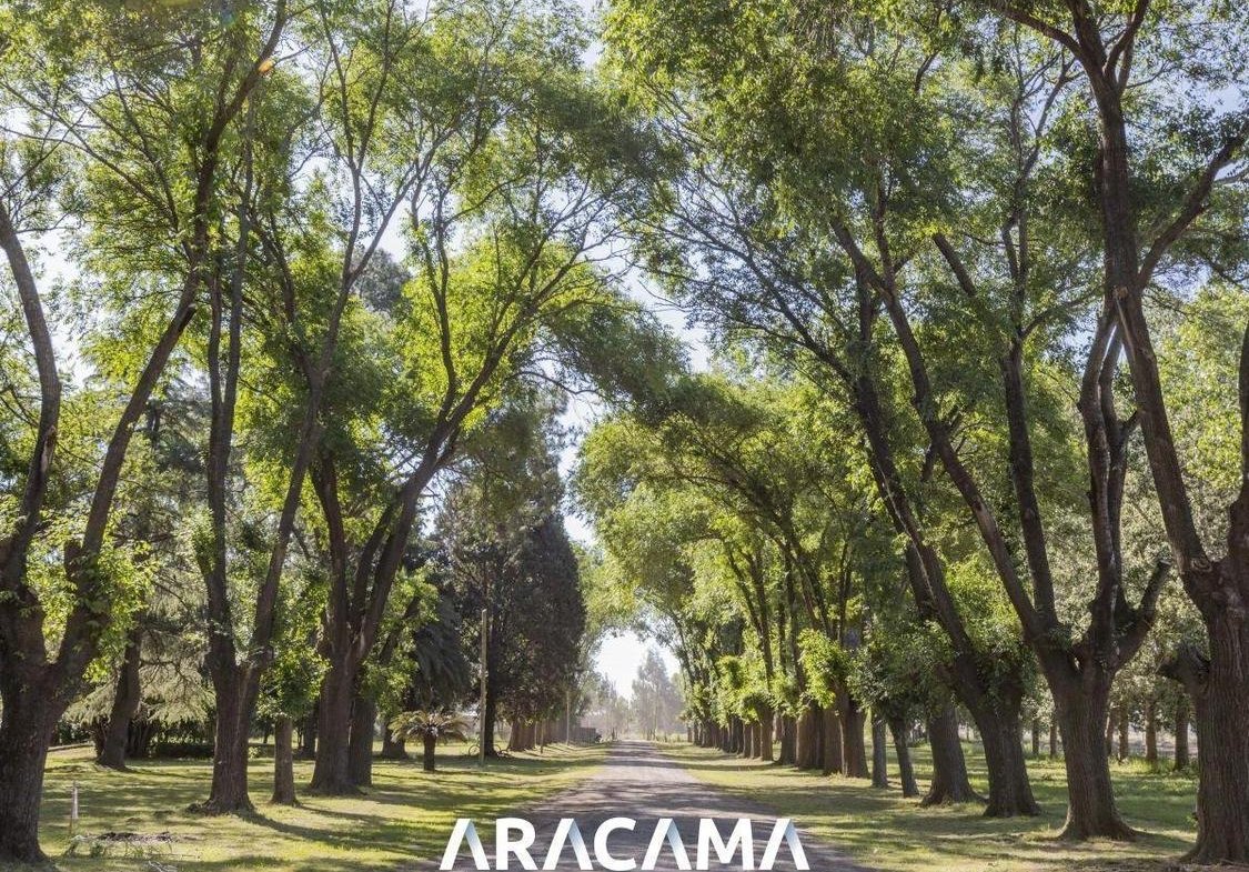 Lotes en Venta en La Eugenia – Maximo Paz