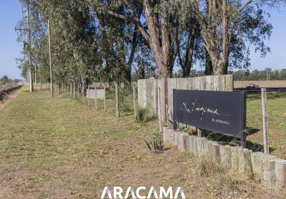 Lotes en Venta en La Eugenia – Maximo Paz