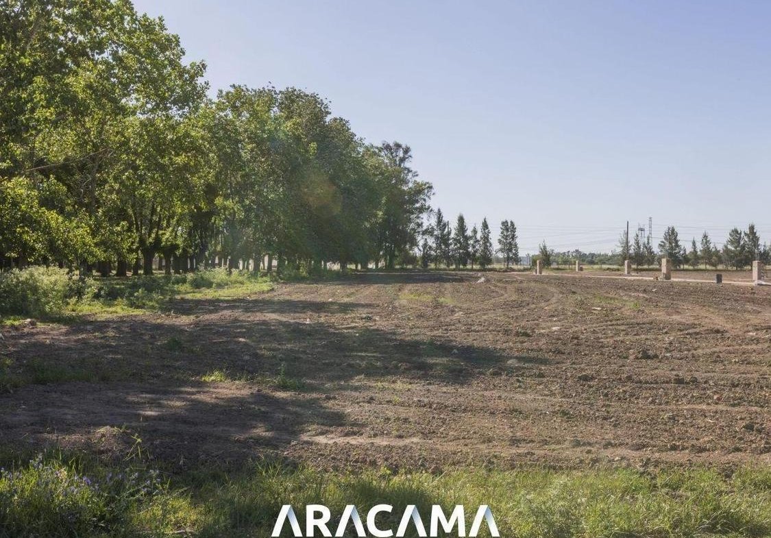 Lotes en Venta en La Eugenia – Maximo Paz