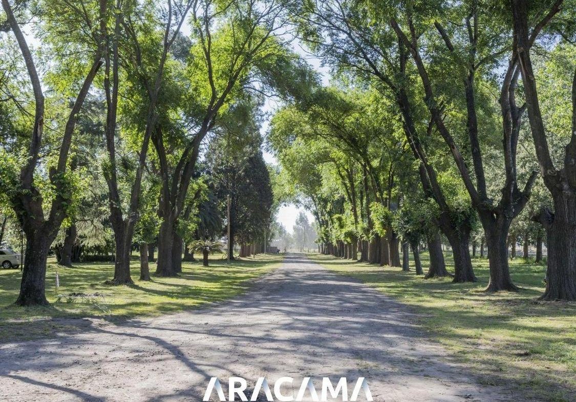Lotes en Venta en La Eugenia – Maximo Paz