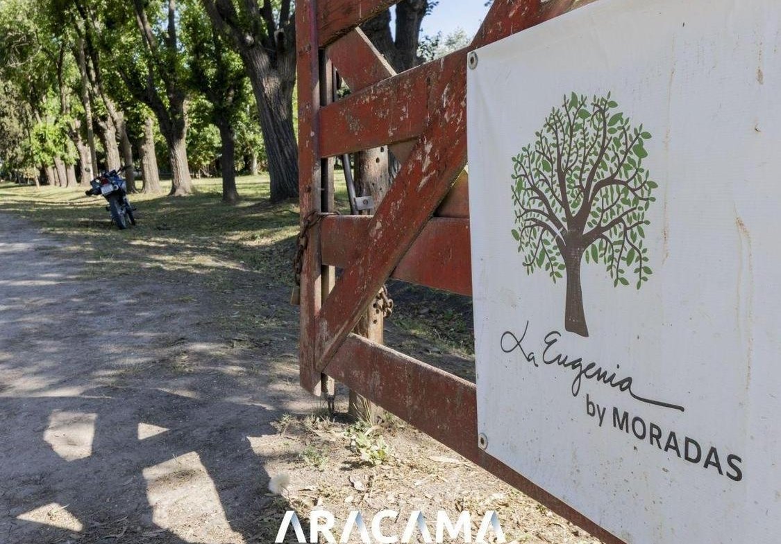Lotes en Venta en La Eugenia – Maximo Paz