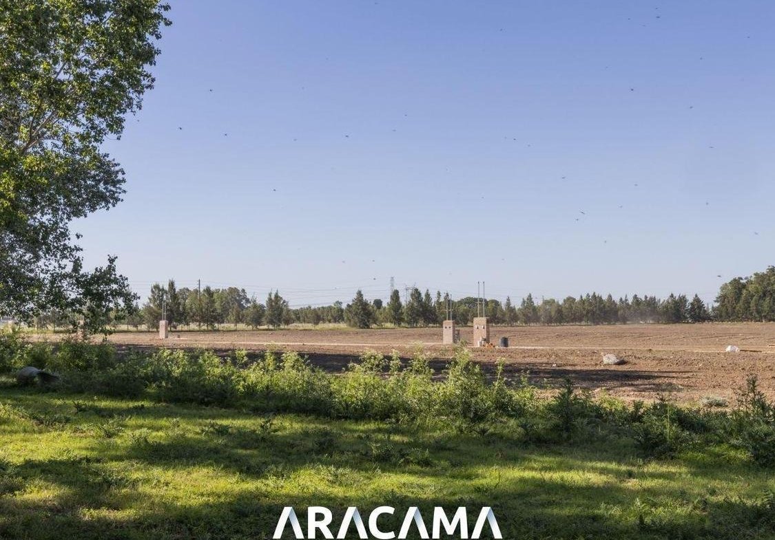 Lotes en Venta en La Eugenia – Maximo Paz