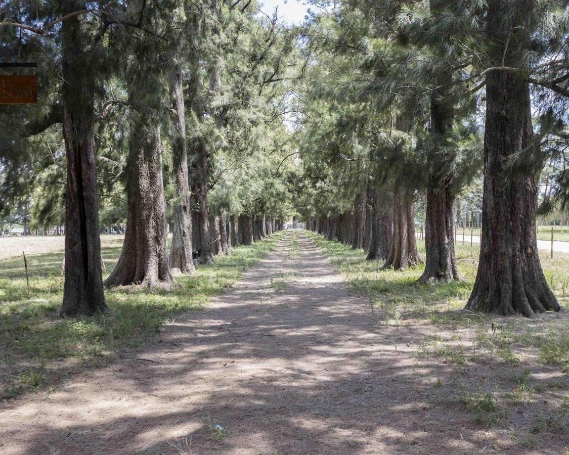 Lotes en Venta en Monte Grande – Esteban Echeverria