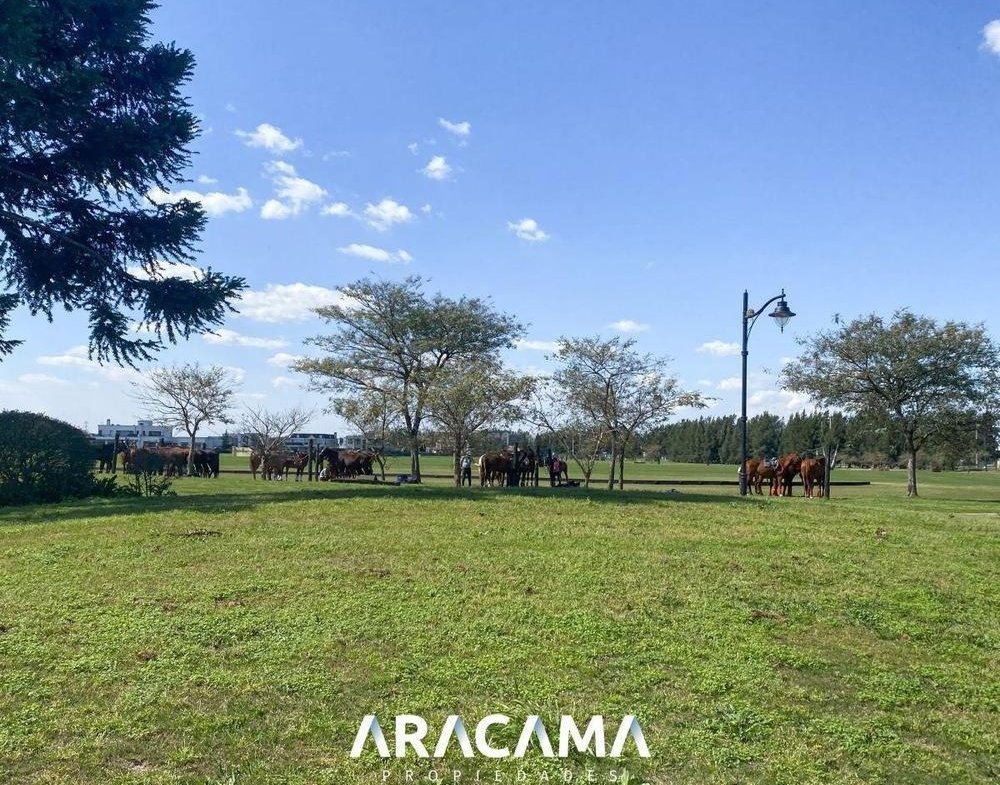 LOTE en VENTA La Providencia – Canning