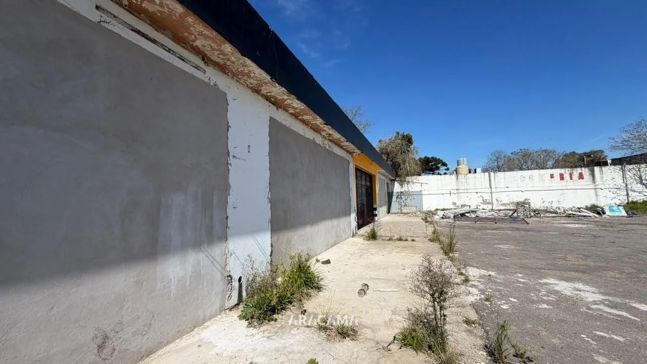 Local con Deposito en Alquiler en Tristan Suarez